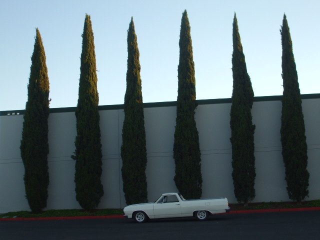 1965 El Camino